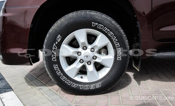 Buy Import Toyota Prado Brown Car in Import - Dubai in Enga Buy Import Toyota Prado Brown Car in Import - Dubai in Enga