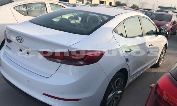 Buy Import Hyundai Elantra White Car in Import - Dubai in Enga Buy Import Hyundai Elantra White Car in Import - Dubai in Enga