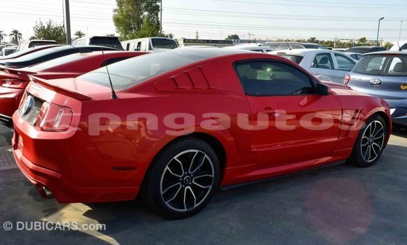 Buy Import Ford Mustang Red Car in Import - Dubai in Enga Buy Import Ford Mustang Red Car in Import - Dubai in Enga