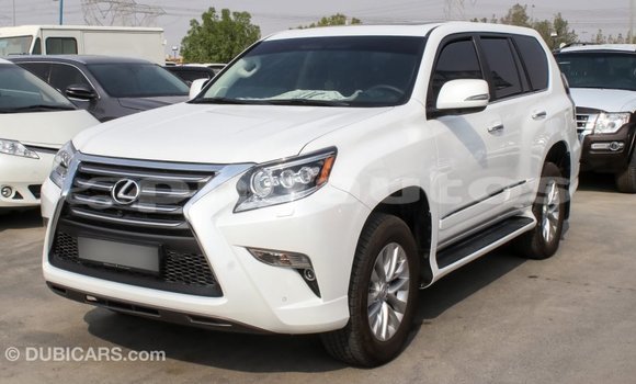Buy Import Lexus GX White Car in Import - Dubai in Enga Buy Import Lexus GX White Car in Import - Dubai in Enga