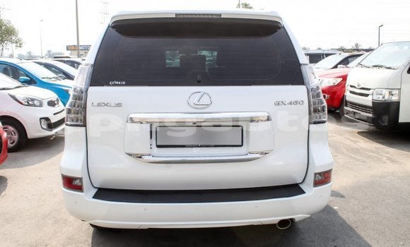 Buy Import Lexus GX White Car in Import - Dubai in Enga Buy Import Lexus GX White Car in Import - Dubai in Enga