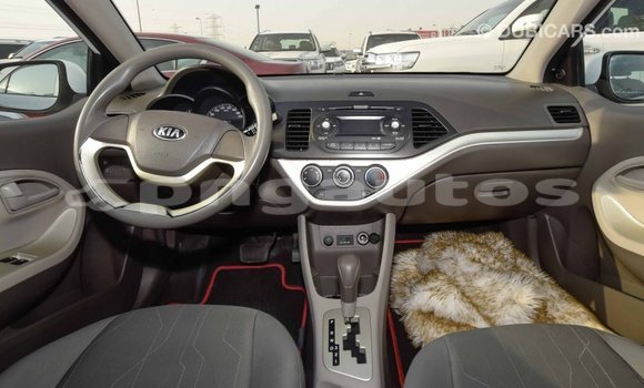 Buy Import Kia Picanto White Car in Import - Dubai in Enga Buy Import Kia Picanto White Car in Import - Dubai in Enga
