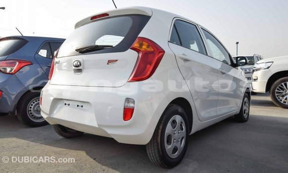 Buy Import Kia Picanto White Car in Import - Dubai in Enga Buy Import Kia Picanto White Car in Import - Dubai in Enga
