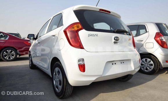 Buy Import Kia Picanto White Car in Import - Dubai in Enga Buy Import Kia Picanto White Car in Import - Dubai in Enga