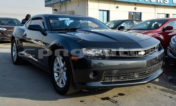 Acheter Import Voiture Chevrolet Camaro Autre à Import - Dubai, Enga