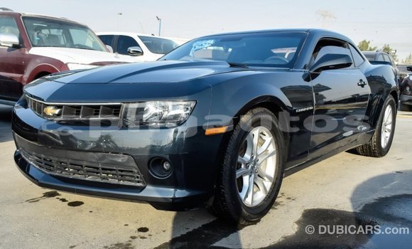Buy Import Chevrolet Camaro Other Car in Import - Dubai in Enga Buy Import Chevrolet Camaro Other Car in Import - Dubai in Enga