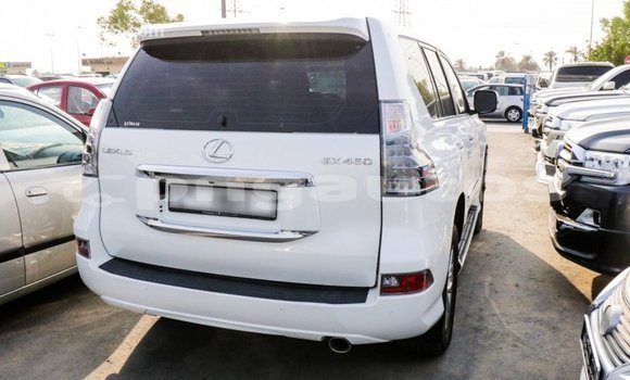 Buy Import Lexus GX White Car in Import - Dubai in Enga Buy Import Lexus GX White Car in Import - Dubai in Enga