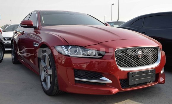 Buy Import Jaguar XE Red Car in Import - Dubai in Enga
