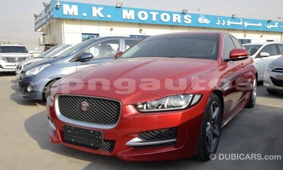 Buy Import Jaguar XE Red Car in Import - Dubai in Enga Buy Import Jaguar XE Red Car in Import - Dubai in Enga