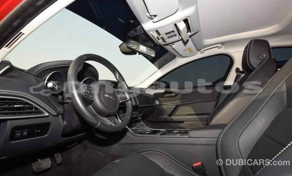 Buy Import Jaguar XE Red Car in Import - Dubai in Enga Buy Import Jaguar XE Red Car in Import - Dubai in Enga