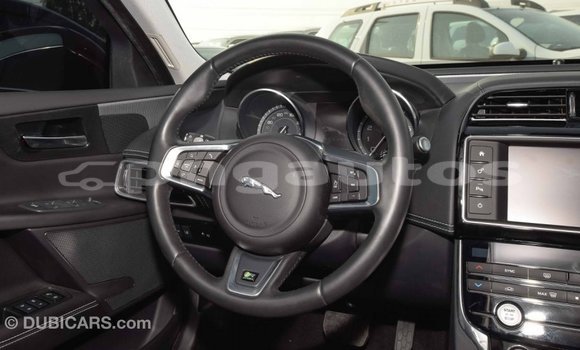 Buy Import Jaguar XE Red Car in Import - Dubai in Enga Buy Import Jaguar XE Red Car in Import - Dubai in Enga