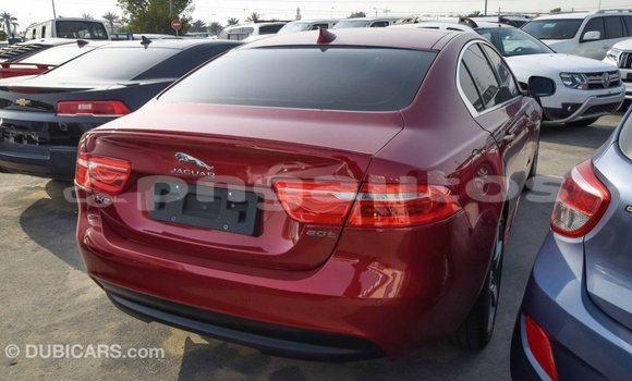 Buy Import Jaguar XE Red Car in Import - Dubai in Enga Buy Import Jaguar XE Red Car in Import - Dubai in Enga