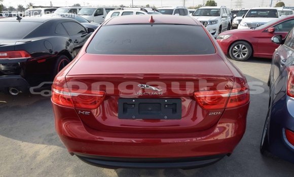 Buy Import Jaguar XE Red Car in Import - Dubai in Enga Buy Import Jaguar XE Red Car in Import - Dubai in Enga