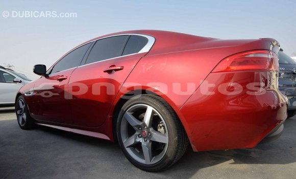 Buy Import Jaguar XE Red Car in Import - Dubai in Enga Buy Import Jaguar XE Red Car in Import - Dubai in Enga