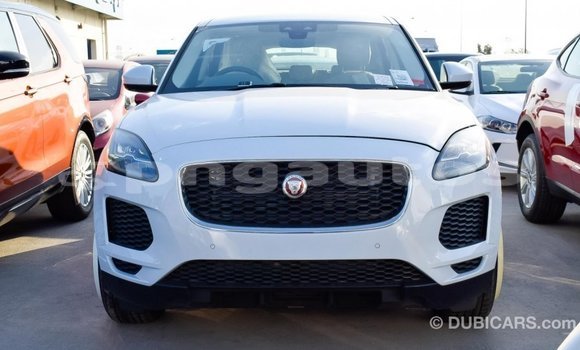 Buy Import Jaguar E-Pace White Car in Import - Dubai in Enga Buy Import Jaguar E-Pace White Car in Import - Dubai in Enga