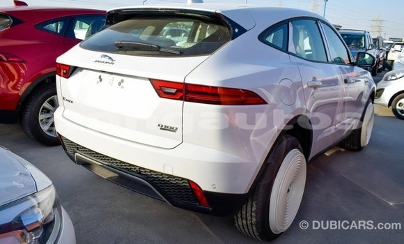 Buy Import Jaguar E-Pace White Car in Import - Dubai in Enga Buy Import Jaguar E-Pace White Car in Import - Dubai in Enga