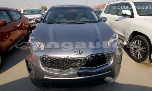 Buy Import Kia Sportage Other Car in Import - Dubai in Enga Buy Import Kia Sportage Other Car in Import - Dubai in Enga