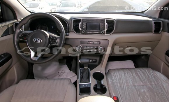 Buy Import Kia Sportage Other Car in Import - Dubai in Enga Buy Import Kia Sportage Other Car in Import - Dubai in Enga