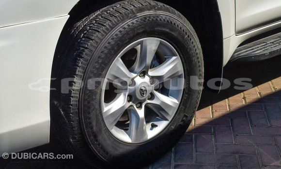 Buy Import Toyota Prado White Car in Import - Dubai in Enga Buy Import Toyota Prado White Car in Import - Dubai in Enga