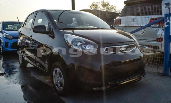 Buy Import Kia Picanto Black Car in Import - Dubai in Enga Buy Import Kia Picanto Black Car in Import - Dubai in Enga