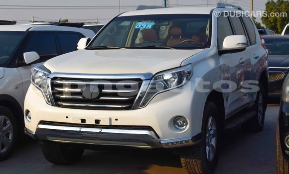 Buy Import Toyota Prado White Car in Import - Dubai in Enga Buy Import Toyota Prado White Car in Import - Dubai in Enga