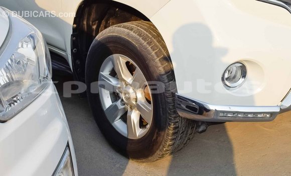 Buy Import Toyota Prado White Car in Import - Dubai in Enga Buy Import Toyota Prado White Car in Import - Dubai in Enga
