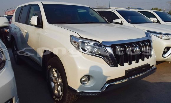 Buy Import Toyota Prado White Car in Import - Dubai in Enga Buy Import Toyota Prado White Car in Import - Dubai in Enga