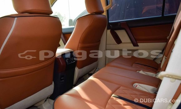 Buy Import Toyota Prado White Car in Import - Dubai in Enga Buy Import Toyota Prado White Car in Import - Dubai in Enga