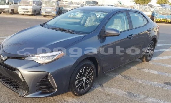 Buy Import Toyota Corolla Other Car in Import - Dubai in Enga Buy Import Toyota Corolla Other Car in Import - Dubai in Enga
