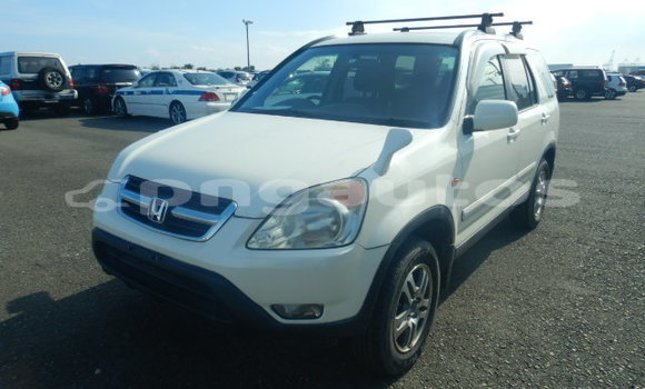 Buy Used Honda CRV White Car in Port Moresby in National Capital District Buy Used Honda CRV White Car in Port Moresby in National Capital District