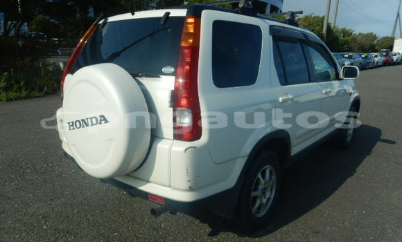 Buy Used Honda CRV White Car in Port Moresby in National Capital District Buy Used Honda CRV White Car in Port Moresby in National Capital District