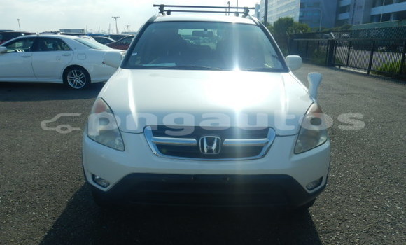 Buy Used Honda CRV White Car in Port Moresby in National Capital District Buy Used Honda CRV White Car in Port Moresby in National Capital District