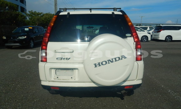 Buy Used Honda CRV White Car in Port Moresby in National Capital District Buy Used Honda CRV White Car in Port Moresby in National Capital District