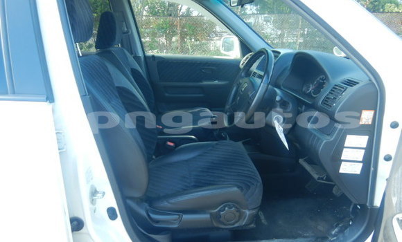 Buy Used Honda CRV White Car in Port Moresby in National Capital District Buy Used Honda CRV White Car in Port Moresby in National Capital District