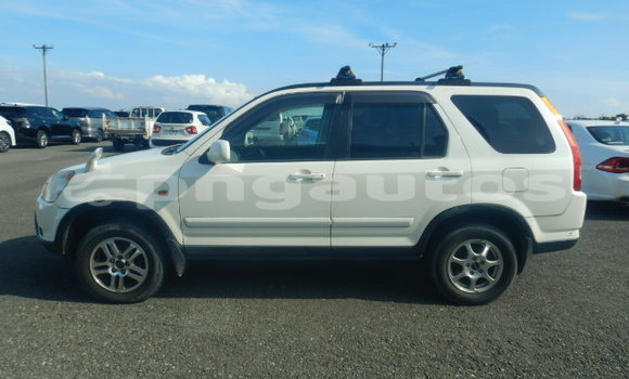 Buy Used Honda CRV White Car in Port Moresby in National Capital District Buy Used Honda CRV White Car in Port Moresby in National Capital District