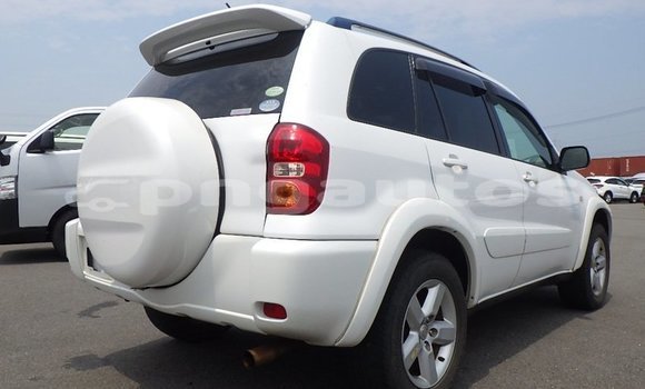 Buy Used Toyota RAV4 White Car in Port Moresby in National Capital District Buy Used Toyota RAV4 White Car in Port Moresby in National Capital District