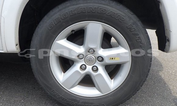 Buy Used Toyota RAV4 White Car in Port Moresby in National Capital District Buy Used Toyota RAV4 White Car in Port Moresby in National Capital District