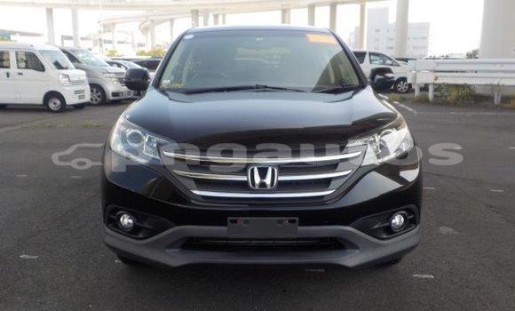 Buy Used Honda CRV Black Car in Port Moresby in National Capital District Buy Used Honda CRV Black Car in Port Moresby in National Capital District