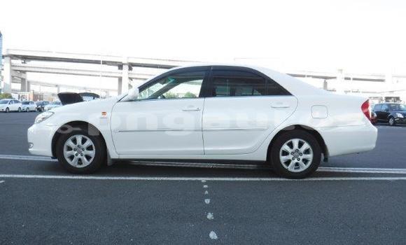 Buy Used Toyota Camry White Car in Port Moresby in National Capital District Buy Used Toyota Camry White Car in Port Moresby in National Capital District