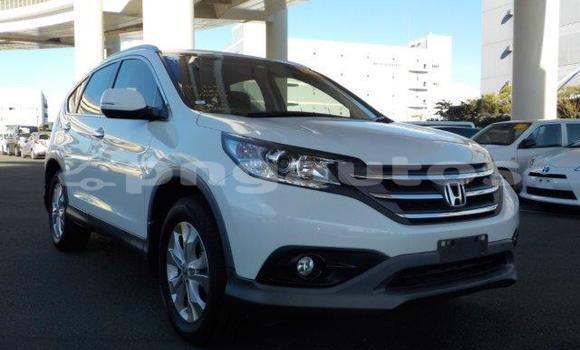 Buy Used Honda CRV White Car in Port Moresby in National Capital District Buy Used Honda CRV White Car in Port Moresby in National Capital District