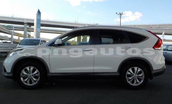 Buy Used Honda CRV White Car in Port Moresby in National Capital District Buy Used Honda CRV White Car in Port Moresby in National Capital District