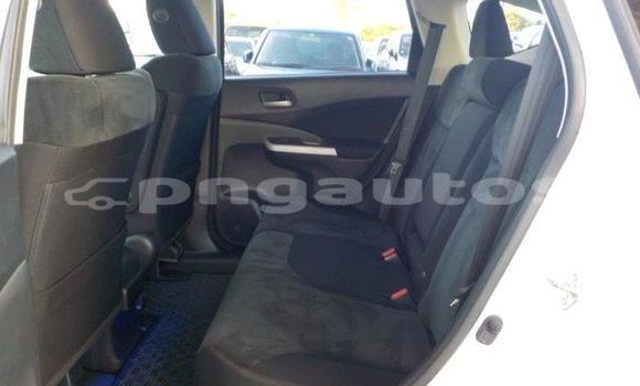 Buy Used Honda CRV White Car in Port Moresby in National Capital District Buy Used Honda CRV White Car in Port Moresby in National Capital District