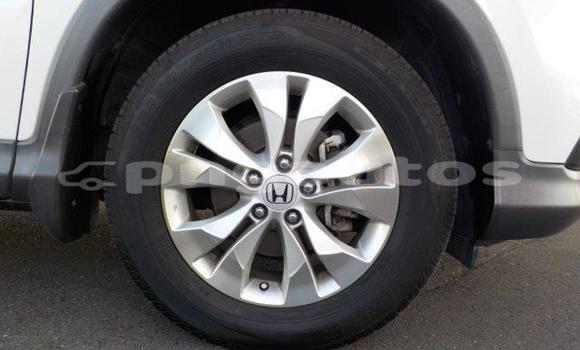 Buy Used Honda CRV White Car in Port Moresby in National Capital District Buy Used Honda CRV White Car in Port Moresby in National Capital District