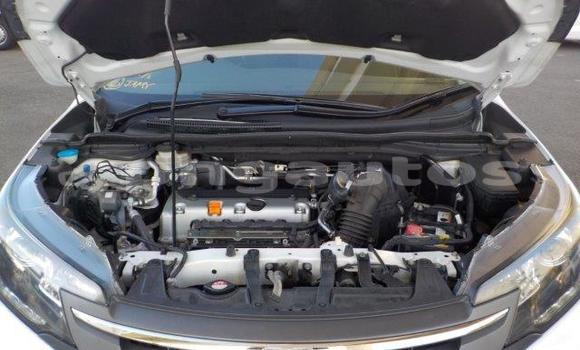 Buy Used Honda CRV White Car in Port Moresby in National Capital District Buy Used Honda CRV White Car in Port Moresby in National Capital District