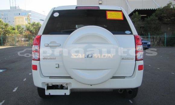 Buy Used Suzuki Escudo White Car in Port Moresby in National Capital District Buy Used Suzuki Escudo White Car in Port Moresby in National Capital District