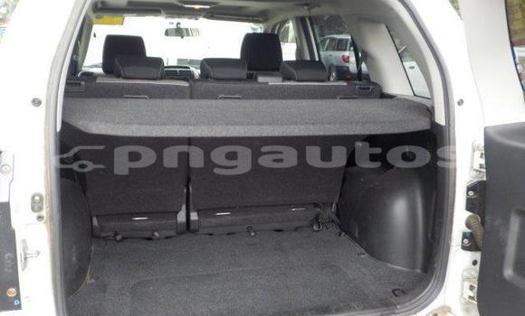 Buy Used Suzuki Escudo White Car in Port Moresby in National Capital District Buy Used Suzuki Escudo White Car in Port Moresby in National Capital District