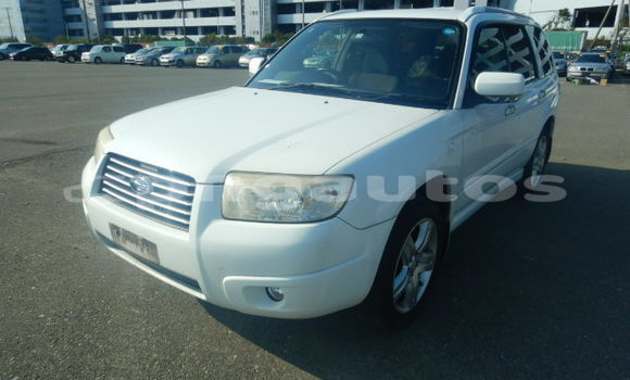 Buy Used Subaru Forester White Car in Port Moresby in National Capital District