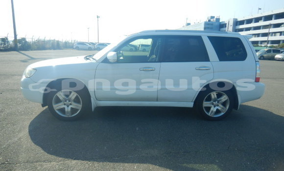 Buy Used Subaru Forester White Car in Port Moresby in National Capital District Buy Used Subaru Forester White Car in Port Moresby in National Capital District