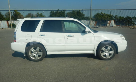 Buy Used Subaru Forester White Car in Port Moresby in National Capital District Buy Used Subaru Forester White Car in Port Moresby in National Capital District