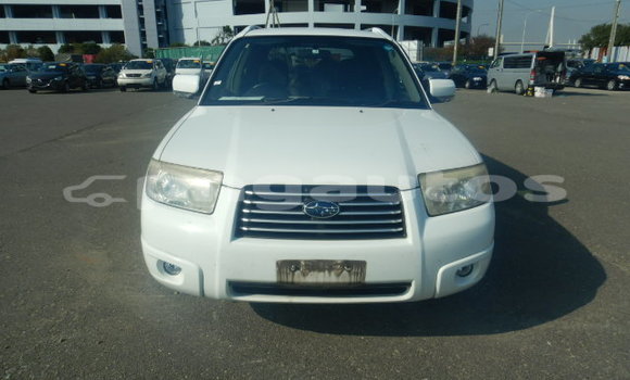 Buy Used Subaru Forester White Car in Port Moresby in National Capital District Buy Used Subaru Forester White Car in Port Moresby in National Capital District